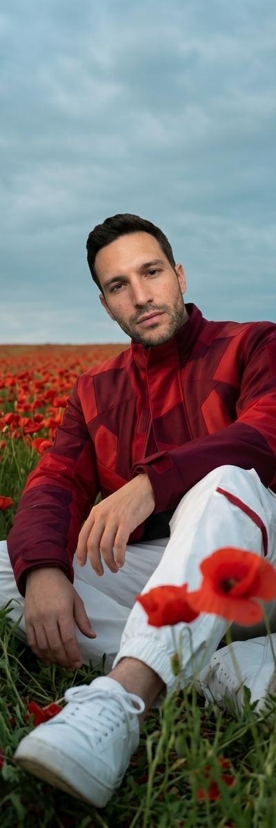 Poppy Field — AI photo style